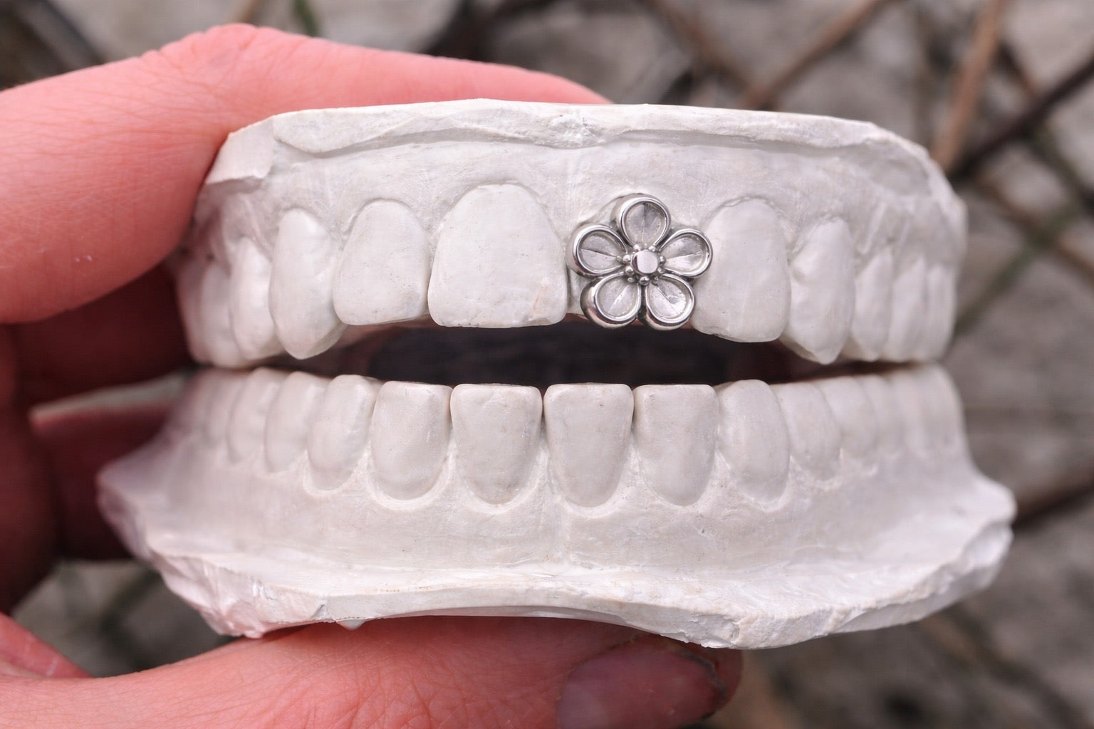 Sakura 🌸🌼 Grill