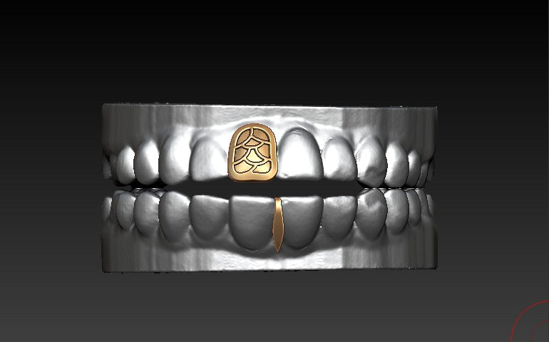 Fishscale Grillz