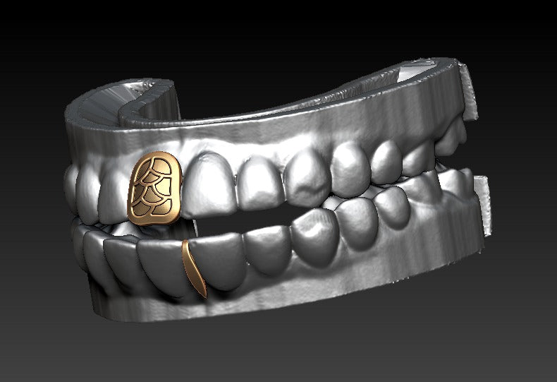 Fishscale Grillz
