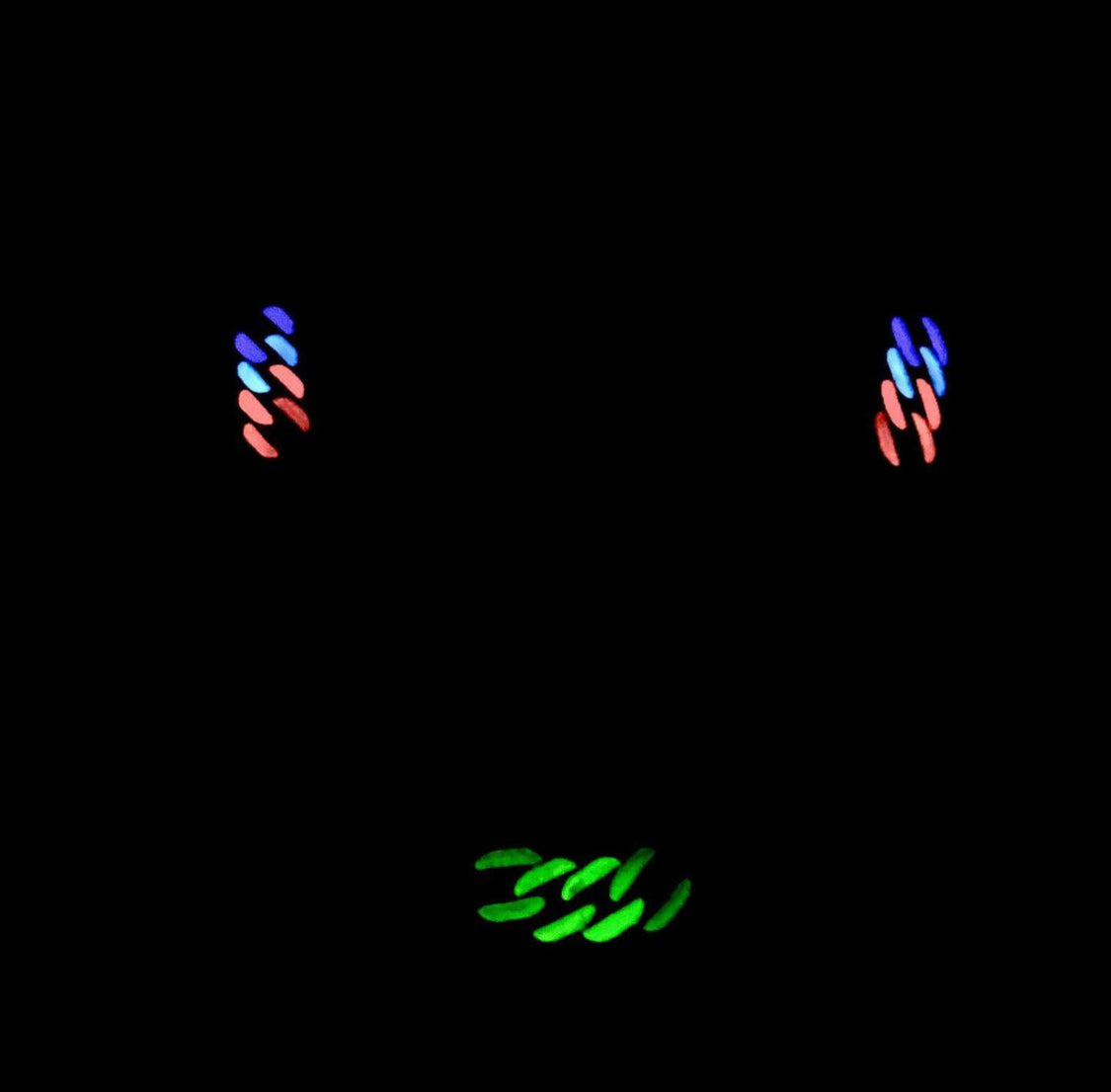 Crazy Colour Cuban Chain - (Glow in the dark)