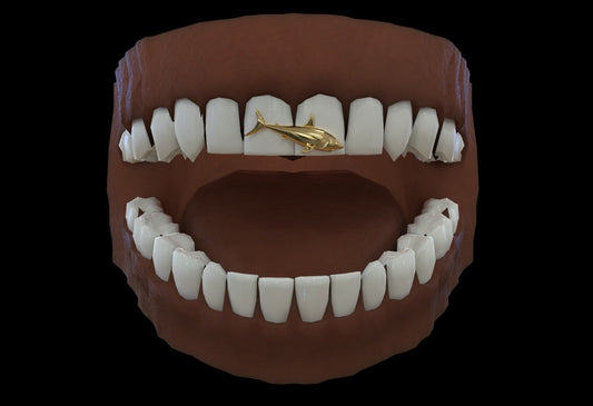 SHARKED OUT GRILLZ
