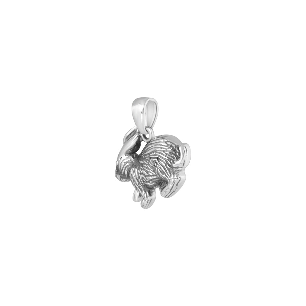 Silver Rabbit Pendant Chain