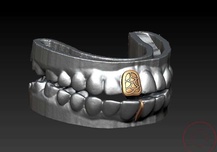 Fishscale Grillz