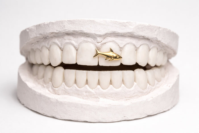 SHARKED OUT GRILLZ